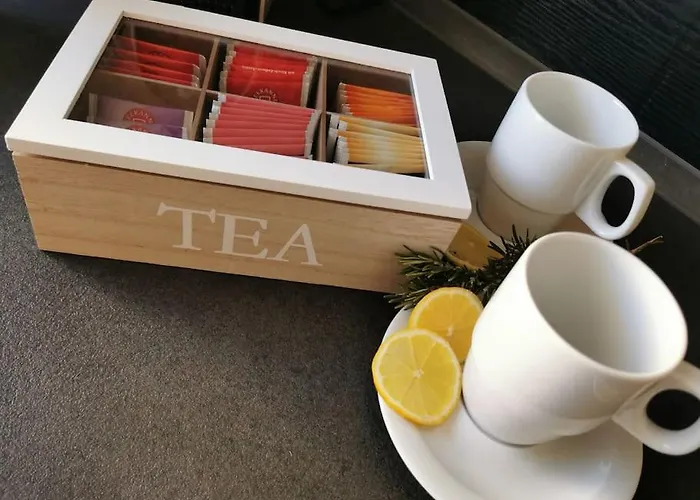 Апартаменты Schoene Grosse Basilikablick Stadtnah Ruhig Naehe Bodensee Mit Aussicht