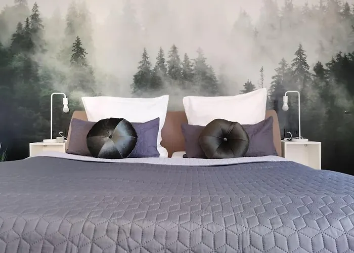 Schoene Grosse Basilikablick Stadtnah Ruhig Naehe Bodensee Mit Aussicht *